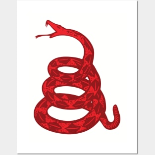 Grassless Red Gadsden Snake Posters and Art